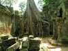 Crám Ta Prohm 1 Kambodža/Kambodza