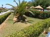 v hotelovej záhrade Tunisko