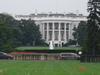 Biely Dom USA