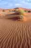 pri dune Namíbia/Namibia