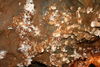 Aragonitová výzdoba Ochtinská aragonitová jaskyňa/Ochtinska aragonitova jaskyna
