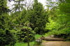 Park s drevinami Arborétum Mlyňany/Arboretum Mlynany