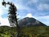 Sopka Pacaya Guatemala